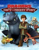 poster_dragons-gift-of-the-night-fury_tt2065968.jpg Free Download