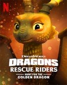 poster_dragons-rescue-riders-hunt-for-the-golden-dragon_tt11875456.jpg Free Download