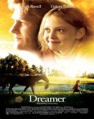 Dreamer: Inspired by a True Story poster