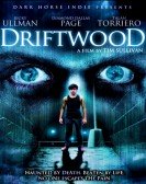 Driftwood Free Download