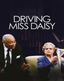 Driving Miss Daisy Free Download