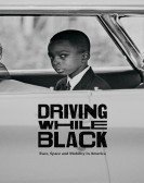 poster_driving-while-black-race-space-and-mobility-in-america_tt13321042.jpg Free Download