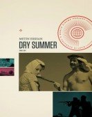 Dry Summer poster