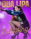 Dua Lipa: Elevating Free Download