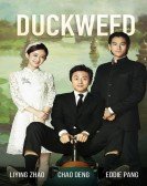 Duckweed poster