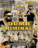 Dumb Criminals: The Movie Free Download