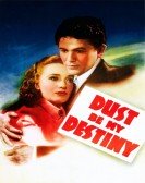 Dust Be My Destiny Free Download