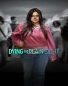 Dying in Plain Sight Free Download