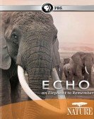 Nature: Echo An Elephant to Remember Free Download