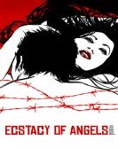 Ecstasy of the Angels poster