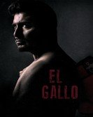 El Gallo Free Download