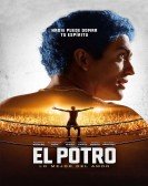 El Potro: Lo mejor del amor (2018) Free Download