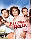 poster_elephant-walk_tt0046951.jpg Free Download