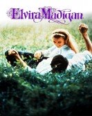 Elvira Madigan Free Download