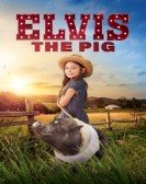 Elvis the Pig poster