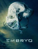 poster_embryo_tt8211476.jpg Free Download