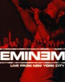 poster_eminem-live-from-new-york-city-2005_tt0495688.jpg Free Download