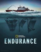 poster_endurance_tt18556278.jpg Free Download