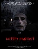 Entity Project Free Download