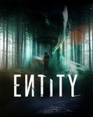 Entity Free Download