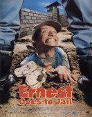 Ernest Goes to Jail (1990) Free Download