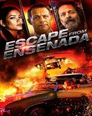 poster_escape-from-ensenada_tt3652616.jpg Free Download