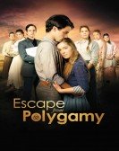 Escape from Polygamy Free Download