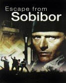 poster_escape-from-sobibor_tt0092978.jpg Free Download