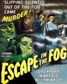 poster_escape-in-the-fog_tt0037678.jpg Free Download