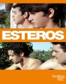 Esteros Free Download