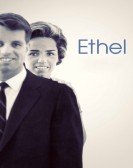 Ethel & Ernest Free Download