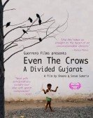 poster_even-the-crows-a-divided-gujarat_tt3622216.jpg Free Download