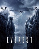 Everest (2015) Free Download