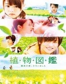 poster_evergreen-love_tt4842648.jpg Free Download