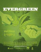 Evergreen: The Road to Legalization in Washington Free Download