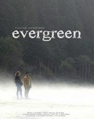 Evergreen Free Download