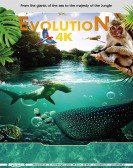 Evolution 4K Free Download