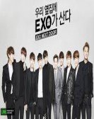 Exo Next Door poster