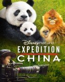 Expedition China Free Download