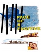 poster_face-of-a-fugitive_tt0052794.jpg Free Download