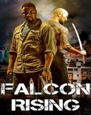 Falcon Rising (2014) Free Download