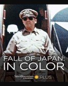 Fall Of Japan: In Color poster