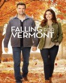 poster_falling-for-vermont_tt7131334.jpg Free Download