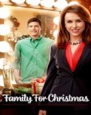 Family for Christmas poster