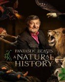 poster_fantastic-beasts-a-natural-history_tt11709244.jpg Free Download