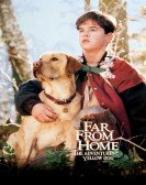 poster_far-from-home-the-adventures-of-yellow-dog_tt0113028.jpg Free Download