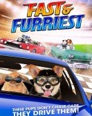 Fast and Furriest Free Download