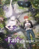 Fate/stay ni Free Download