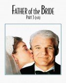 poster_father-of-the-bride-part-3-ish_tt13160412.jpg Free Download