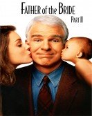 poster_father-of-the-bride-part-ii_tt0113041.jpg Free Download